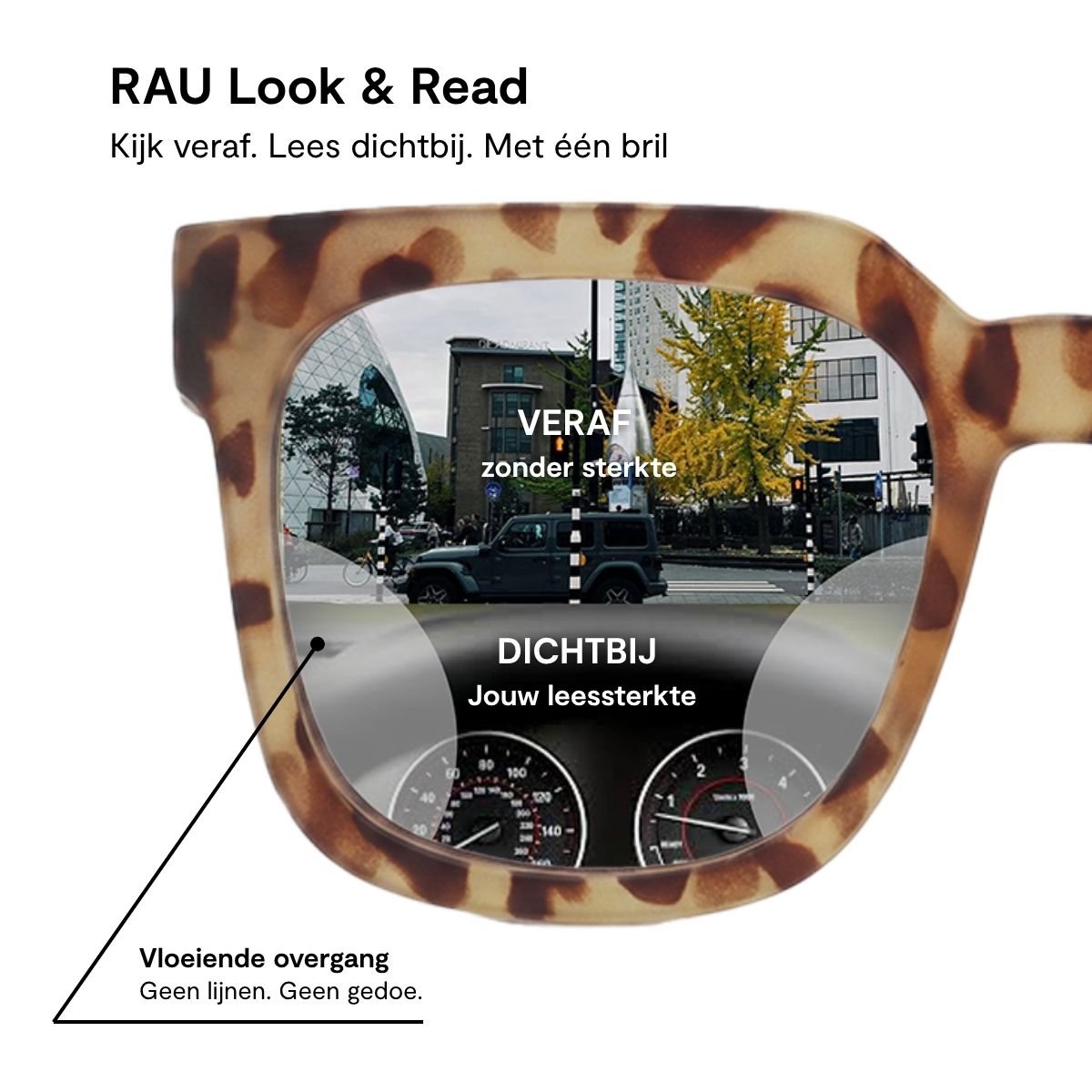 rau-readers-bazaar-multifokalbrille-leopard-matte-017 image 7