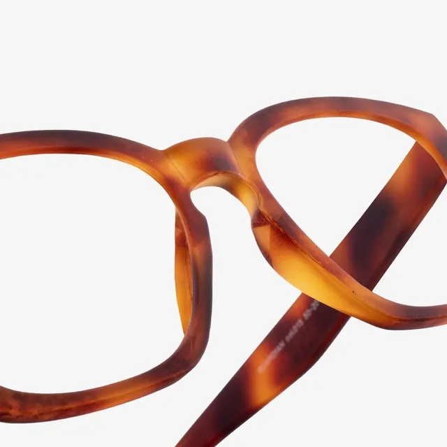 rau-readers-guardian-multifokalbrille-havana-matte-015 image 1