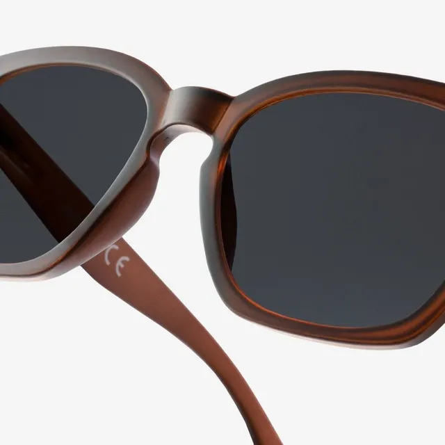 rau-readers-guardian-multifokale-sonnenbrille-dark-brown-matte image 1